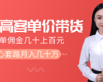 抖音高单价带货项目，一单佣金几十上百元，核心套路月入几十万（共3节）-赚钱驿站