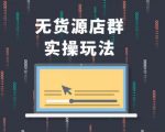 无货源店群实操玩法,蓝海选品的独特思路,店群软件操作方法(45节视频课)-赚钱驿站