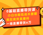 0基础直播带货课:小白也能低成本搭建疯狂卖货直播间:1场直播带货6万-赚钱驿站