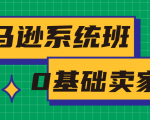 亚马逊系统班,专为0基础卖家量身打造,亚马逊运营流程与架构-赚钱驿站