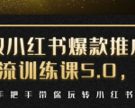 小红书爆款推广引流训练课5.0,手把手带你玩转小红书(17节实操视频+话术)-赚钱驿站
