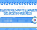 视频号新机制与不刷赞撸养生茶玩法,轻松日赚1000+-赚钱驿站
