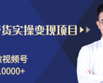 柚子分享课:微信视频号变现攻略,新手零基础轻松日赚千元-赚钱驿站