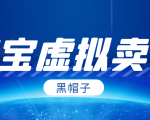 黑帽子淘宝虚拟卖货项目,单店每月收入5000+-赚钱驿站