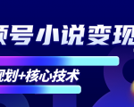 柚子微信视频号小说变现项目，全新玩法零基础也能月入10000+【核心技术】-赚钱驿站