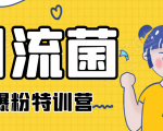 引流菌2020全网爆粉特训营(QQ群霸屏,知乎引流,群裂变,自动化引流等)-赚钱驿站