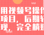 视频号操作书单变现项目,后期轻松变现,完全躺赚日入300至500元-赚钱驿站