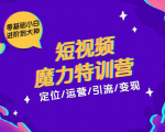 零基础小白进阶到大神《短视频魔力特训营》定位-运营-引流-变现-赚钱驿站