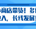 微信小商店带货，爆单多倍收入，长期复利循环！日赚300-800元不等-赚钱驿站