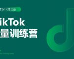 2020最新TikTok流量增长训练营(完结)附PPT-赚钱驿站