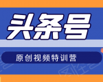 头条号原创视频特训营：一对一带你玩转短视频，新号10天日收益破252元-赚钱驿站