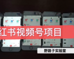野路子小红书视频号1.0项目，直接上手操作就能赚钱的视频号项目-赚钱驿站