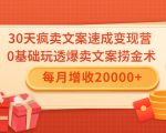 30天疯卖文案速成变现营，0基础玩透爆卖文案捞金术！每月增收20000+-赚钱驿站