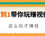 从0到1带你玩赚视频号:这么玩才赚钱,日引流500+日收入1000+核心玩法-赚钱驿站