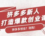 拼多多新人打造爆款创业课：快速引流持续出单，适用于所有新人-赚钱驿站