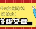 —牛B复制粘贴赚钱术!牛逼持久收入极品闷声发财项目,首发揭秘独此一家!-赚钱驿站