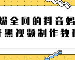 火爆全网的抖音“蚂蚁牙黑”视频制作教程,附软件【视频教程】-赚钱驿站