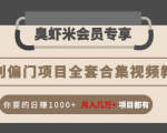 暴利偏门项目全套合集视频教程:你要的日赚1000+月入几万+项目都有-赚钱驿站