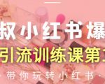 狼叔小红书爆款推广引流训练课第12期,手把手带你玩转小红书-赚钱驿站