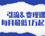 引流&变现课:分享一整套流量方法以及各个渠道收入,每月最低1万起!-赚钱驿站