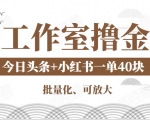 工作室撸金二件套：撸今日头条原创收益+小红书一单利润40块项目-赚钱驿站
