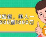 Paypal拉新赚美刀项目，单人一天利润500-1000刀【视频课程】-赚钱驿站