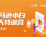 雨课·亚马逊小白特训营第9期 跨境电商挺赚钱的 有朋友已经月入几十万美金-赚钱驿站