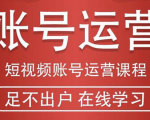 短视频账号运营课程:从话术到短视频运营再到直播带货全流程,新人快速入门-赚钱驿站