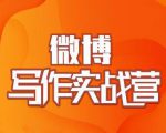村西边老王·微博超级写作实战营，帮助你粉丝猛涨价值999元-赚钱驿站
