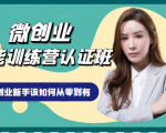 微创业全能训练营认证班课程,从理论知识与实际案例手把手指导创业新手如何从零到有-赚钱驿站