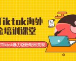 最新Tiktok海外掘金培训课堂：带你玩转Tiktok暴力涨粉轻松变现-赚钱驿站
