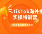 TikTok海外掘金实操特训营：手把手教运营变现赚钱-赚钱驿站