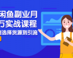 2021闲鱼副业月入过万实战课程：从开店到选择货源到引流，全程实战教学-赚钱驿站