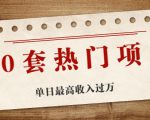 30套热门项目：单日最高收入过万 (网赚项目、朋友圈、涨粉套路、抖音、快手)等-赚钱驿站