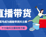 3天从菜鸟成为超级带货抖主播，千万级抖主播培育方案（价值980元）-赚钱驿站