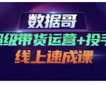 数据哥·超级带货运营+投手线上速成课,快速提升运营和熟悉学会投手技巧-赚钱驿站