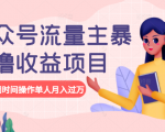 公众号流量主暴利撸收益项目,空闲时间操作单人月入过万-赚钱驿站