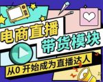 大鹏·电商直播带货课,系统学习直播带货各环节技巧和套路-赚钱驿站