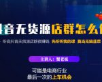 蟹老板·抖音无货源店群怎么做,吊打市面一大片《抖音无货源店群》的课程-赚钱驿站