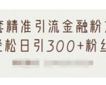 1套精准引流金融粉方法,轻松日引300+粉丝-赚钱驿站
