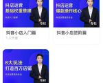 湛北·抖音小店入门进阶高阶合集,八大玩法打造百万店铺-赚钱驿站