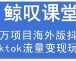 鲸叹号·海外TIKTOK训练营,百万项目海外版抖音tiktok流量变现玩法-赚钱驿站