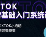 Tiktok实操进阶课程,体验从tiktok小透明到大佬的完美蜕变-赚钱驿站