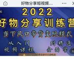 萌飞好物·2022抖音好物分享训练营，当下风口带货变现模式，从入门到精通-赚钱驿站