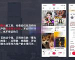 麦子互娱短视频带货·0基础做好物分享账号,无需出镜无需货源无需拍摄-赚钱驿站