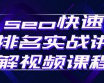 seo快速排名实战讲解视频课程，揭秘seo快排原理-赚钱驿站
