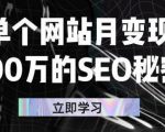 单个网站月变现100万的SEO秘密，百分百做出赚钱站点-赚钱驿站