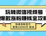 玩转微信视频号爆款涨粉赚钱全攻略,快速涨粉百万变现万元秘诀-赚钱驿站