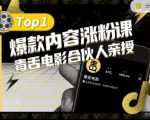 【毒舌电影合伙人亲授】抖音爆款内容涨粉课,5000万抖音大号首次披露涨粉机密-赚钱驿站