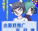 大狗来了:小游戏推广实战课,带你搭建一个游戏推广变现账号-赚钱驿站